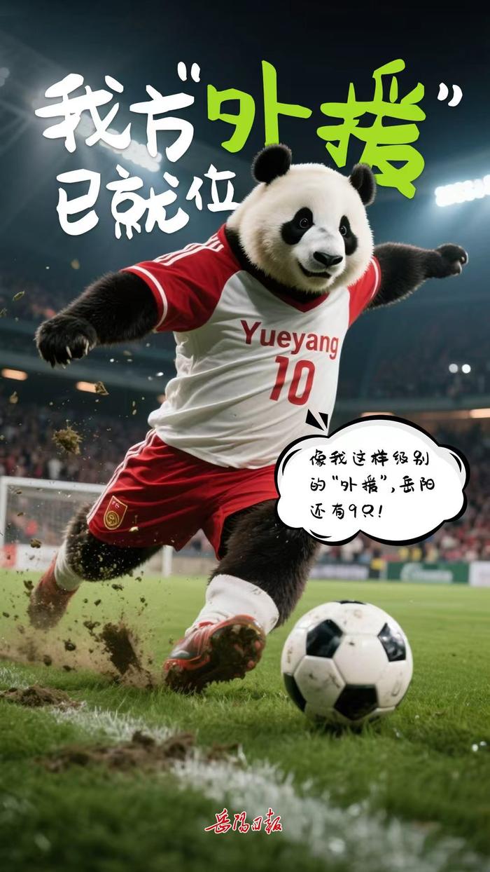 岳阳熊猫天团出战湘超联赛9月14日对决怀化